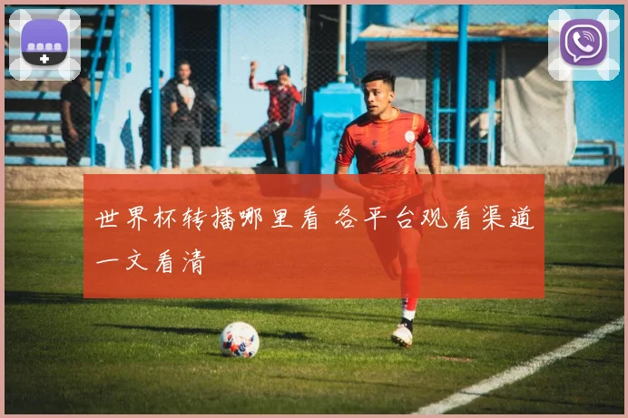 世界杯转播哪里看 各平台观看渠道一文看清