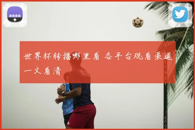 世界杯转播哪里看 各平台观看渠道一文看清