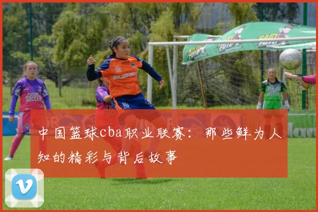 中国篮球cba职业联赛：那些鲜为人知的精彩与背后故事