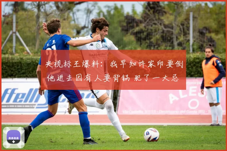 央视标王爆料：我早知许家印要倒 他进去因有人要背锅 犯了一大忌