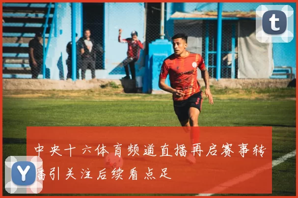中央十六体育频道直播再启赛事转播引关注后续看点足