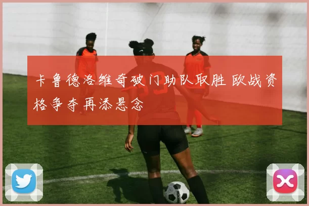 卡鲁德洛维奇破门助队取胜 欧战资格争夺再添悬念